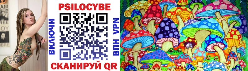 Купить  Грайворон  Псилоцибиновые грибы прущие грибы 